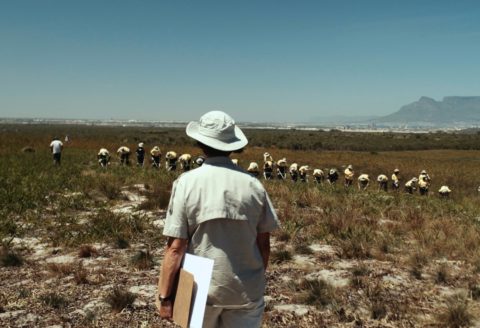 Teaching the film ONE TABLE TWO ELEPHANTS