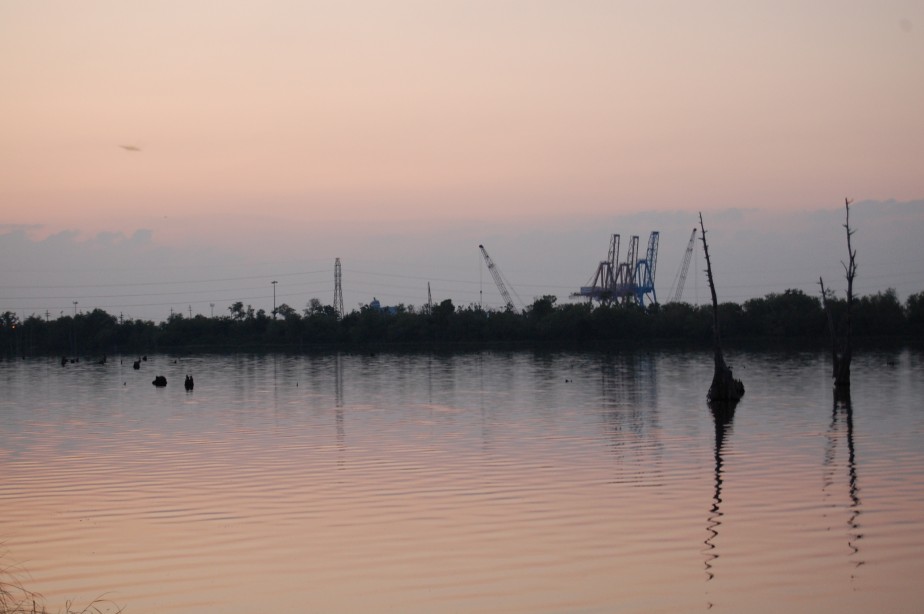 Degraded Swamp and Port 